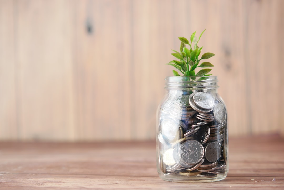 what is a self invested personal pension sipp