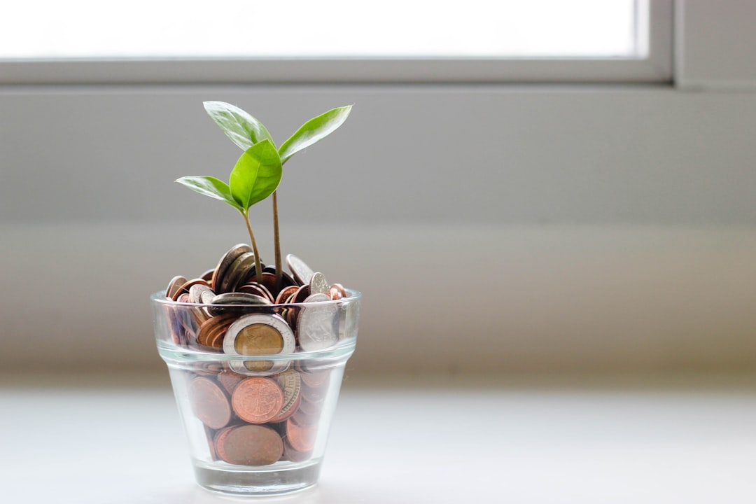 what is an emergency fund and how much should you save